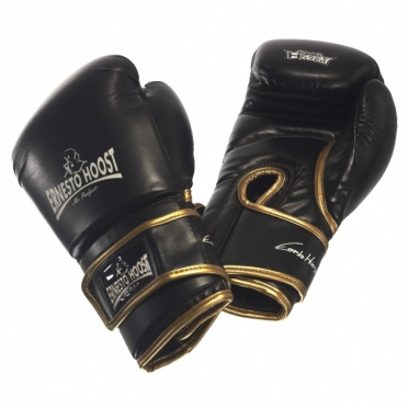 Ernesto Hoost Amateur bokshandschoenen