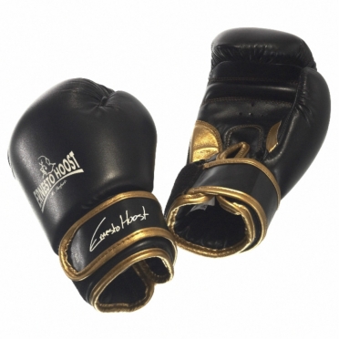 Ernesto Hoost Kids bokshandschoenen