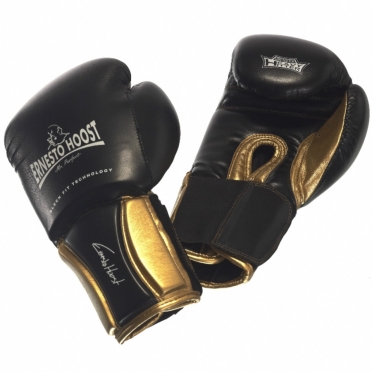 Ernesto Hoost Pro Fight bokshandschoenen