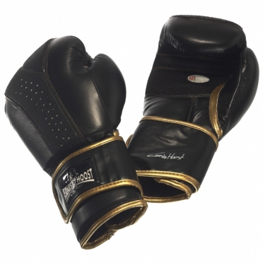 Ernesto Hoost Ultimate bokshandschoenen