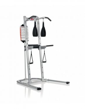 Bowflex Bodytower 