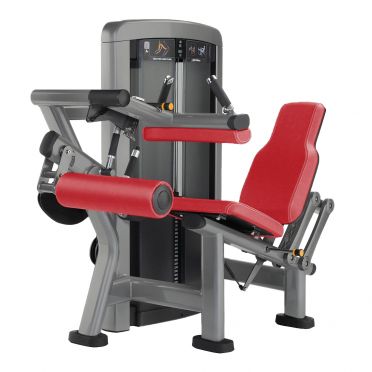 Life Fitness Insignia Series Seated Leg Curl 