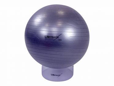 Lifemaxx Gymbal 65 cm zilver LMX 1100.65 