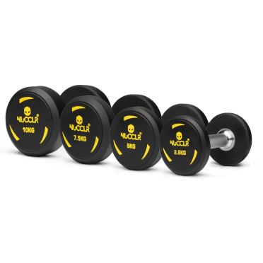 NUCCLR PU dumbbell set 2.5-10 KG 