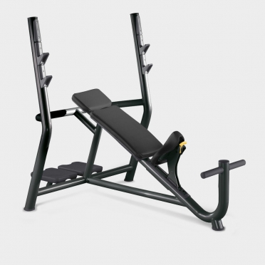 Technogym Element+ Inclined Bench halterstation