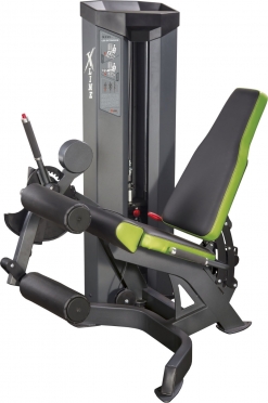 X-Line leg curl-extension XR111 