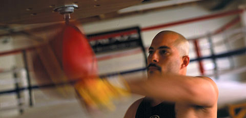 Speedbags