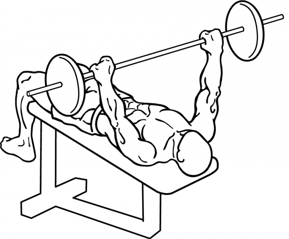 Zes tips om vol vertrouwen te beginnen met krachttraining