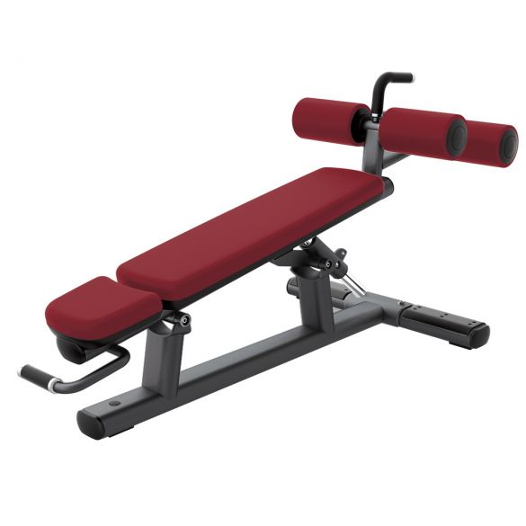 Onderdompeling mentaal Pidgin Life Fitness Signature Adjustable Decline - Abdominal Crunch Bench kopen?  Bestel bij fitness24.nl