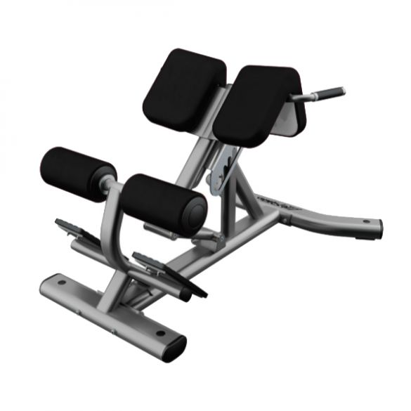 Life fitness Signature series back extension  SBE
