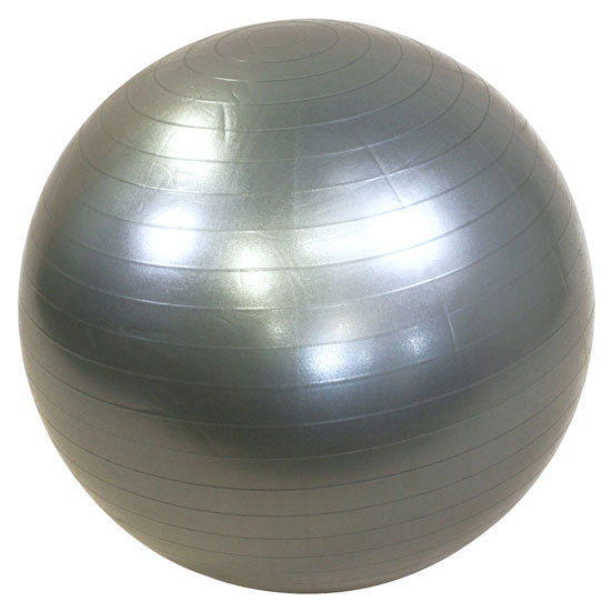 Lifemaxx Gymbal zilver 75 cm LMX 1100.75 LMX 1100.75zilver