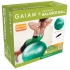 Gaiam Total balance gym ball kit (Medium - 65cm)  G05-51982