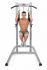 Bowflex Bodytower  100243