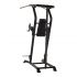 Inspire VKR Power Tower Vertical knee raise  F3651