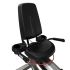 Life Fitness Integrity Series professionele ligfiets DX  PH-INDRX-XWXXX-7201C